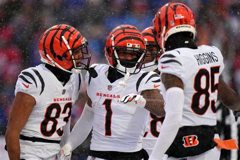 what is cincinnati bengals record